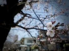 ひとつでも多くのビジネスを
    成功させる